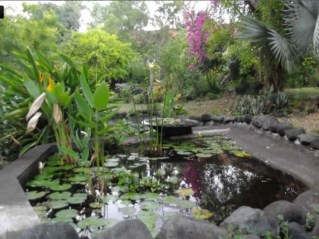 Гостевой дом Udayana Kingfisher Eco Lodge Джимбаран