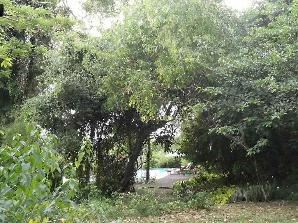 Udayana Kingfisher Eco Lodge Джимбаран
